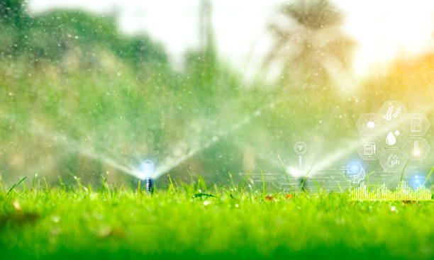 irrigation installation O'Fallon
